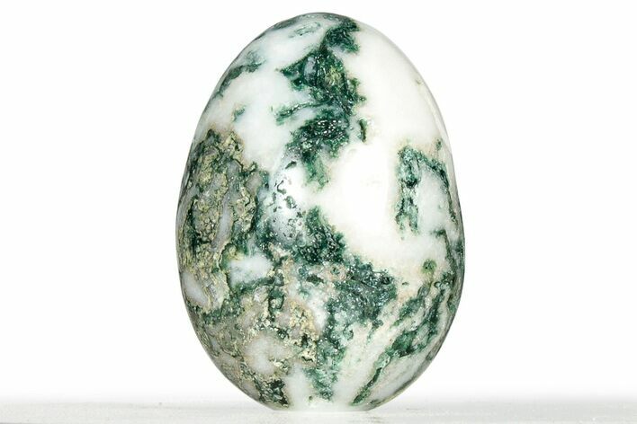 Polished Tree Agate Egg - India #326819